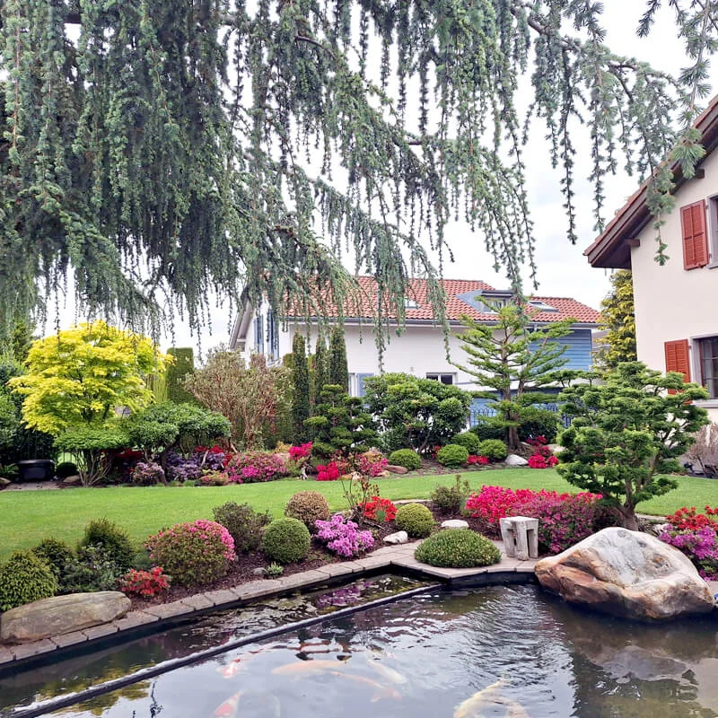 Garten mit Teich und Bepflanzung