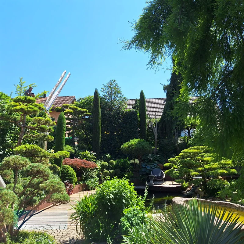 Garten mit gepflegten Gehölzen